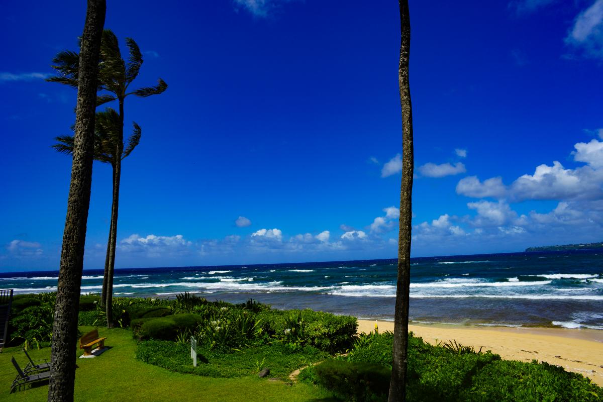 Hanalei Colony Resort