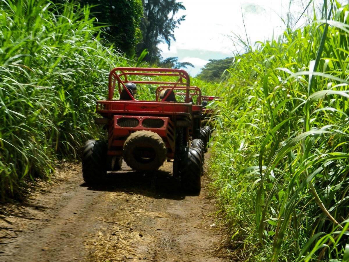 Koloa Zipline and ATV Tours